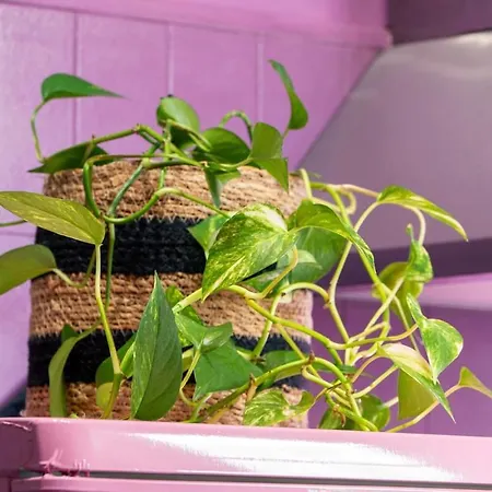 Lx191 2p Design & Colore Face Gare - Balcon & Clim דירה *